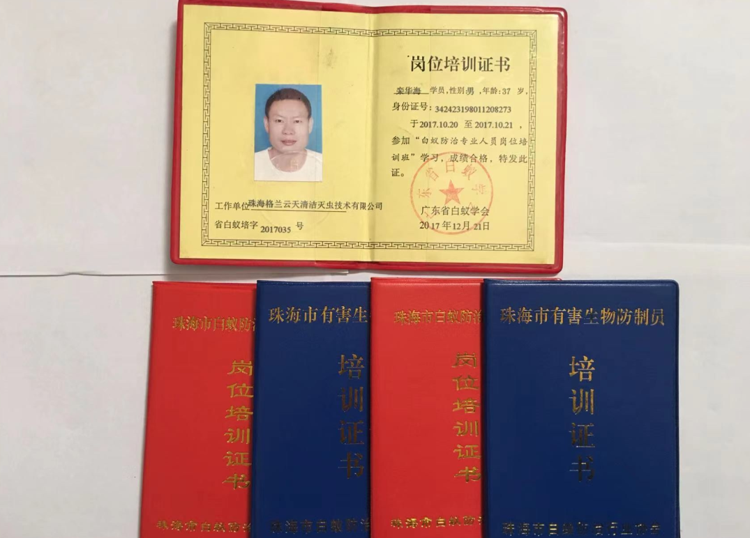 珠海新建房（fáng）屋白蟻預防（fáng）技術（shù）探討 珠海滅殺（shā）白蟻公司-珠海菠萝菠萝蜜网站清潔（jié）滅蟲技術有限公司(圖5)