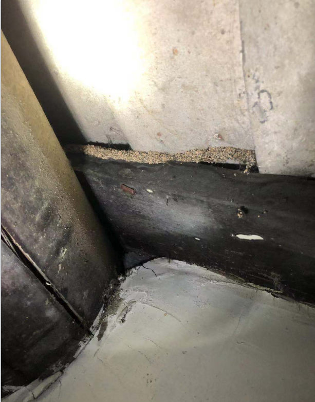 珠海建築散白蟻防治方法的分享 及 木地（dì）板白蟻防治(圖3)