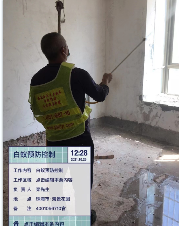 珠海（hǎi）建築散白蟻防治方法的分享 及 木地板白蟻防治(圖4)
