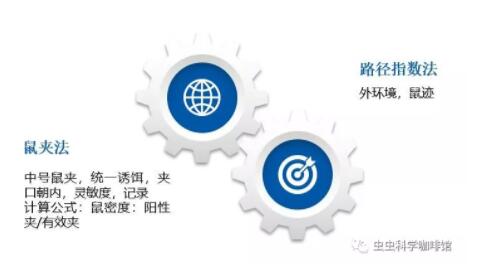 秋季滅鼠5.jpg
