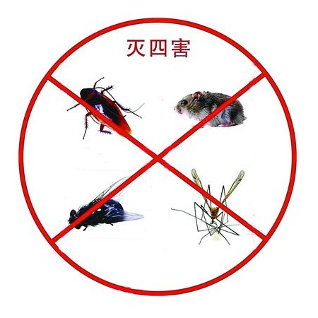 珠海教你除蟑螂七個妙招-珠海除四害公司(圖1)