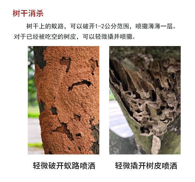 1595568044305525.jpg 微(wēi)信圖片_20200724130238.jpg