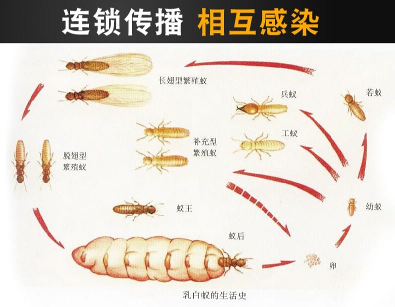 微信圖片_20200724130233.jpg
