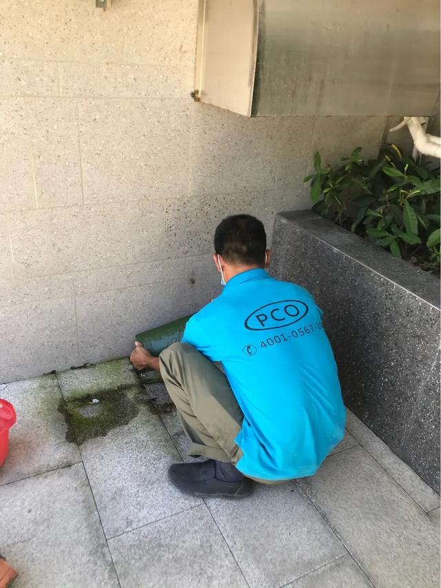 珠海（hǎi）白蟻（yǐ）防治哪家快又好（hǎo）菠萝菠萝蜜网站滅蟲技術來幫忙