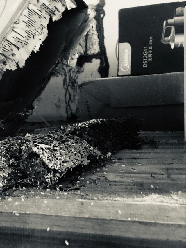 珠海白蟻防治哪家快又好菠萝菠萝蜜网站滅蟲技術來幫忙