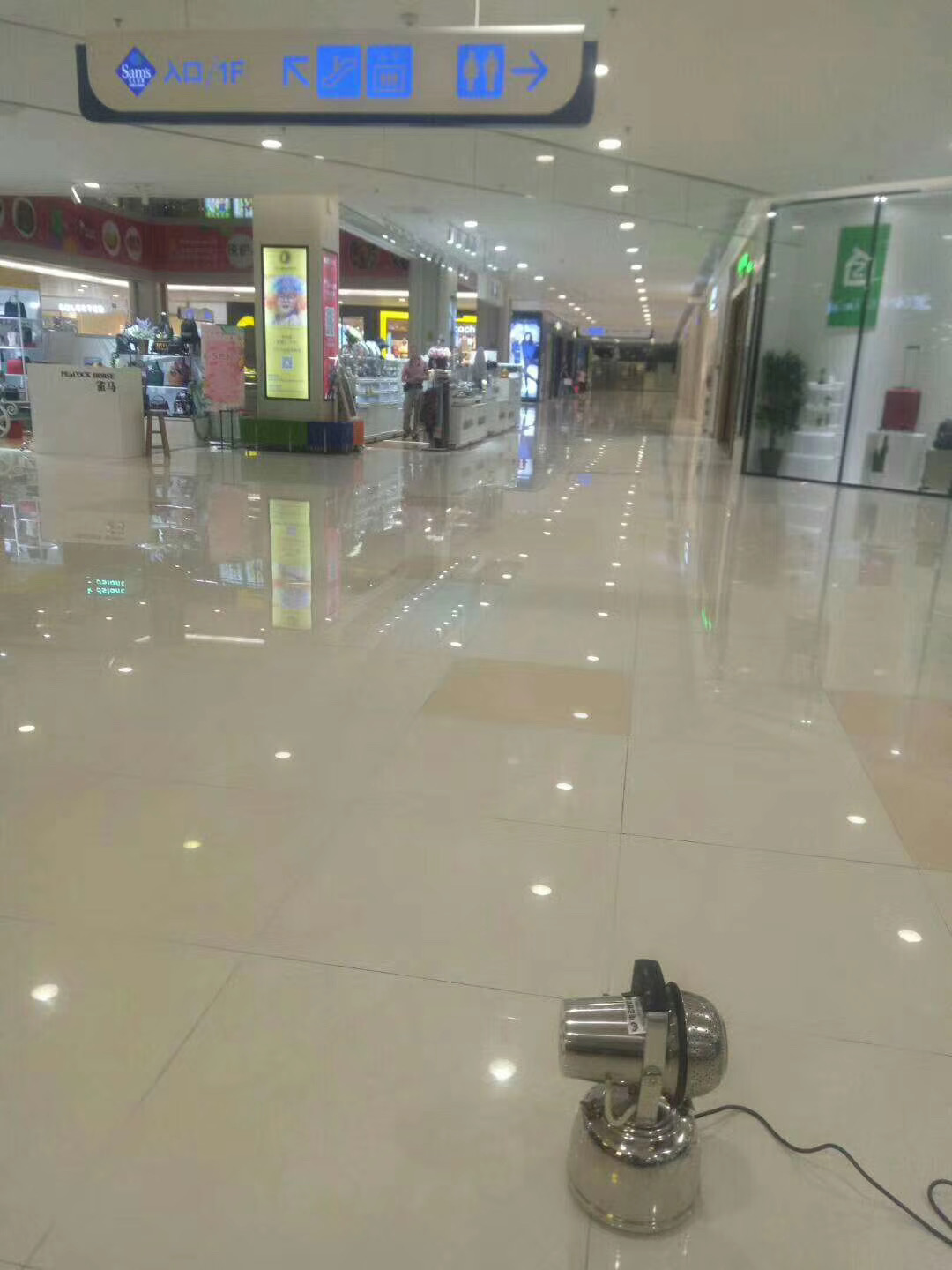 珠海白（bái）蟻防治 珠海消（xiāo）殺公司 珠海白（bái）蟻預防控製中心(圖7)