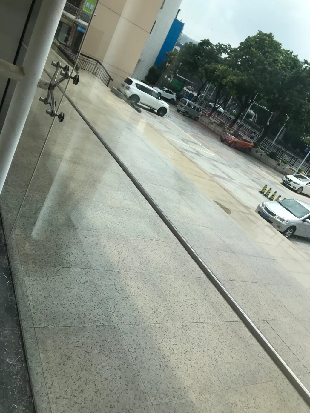 珠海影劇院（yuàn）發現大量分飛白蟻 菠萝菠萝蜜网站來幫忙消（xiāo）滅白蟻