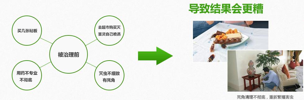 滅蟑螂被（bèi）治理前
