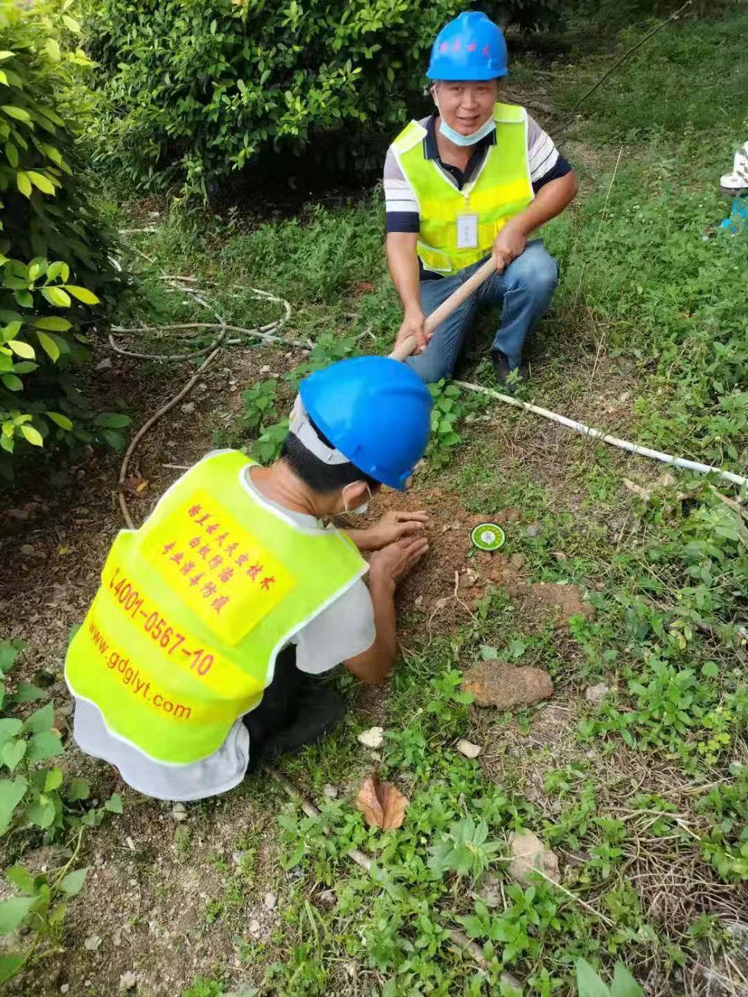 發現白（bái）蟻後應該注意些什麽 不同情況下要如何進行白蟻防治(圖1)