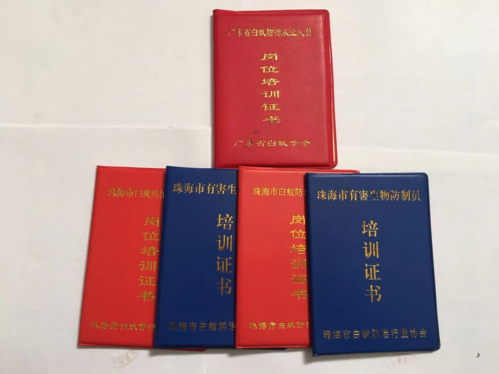 珠海滅鼠公司哪家比較好?五種滅鼠方法及步驟,讓你(nǐ)得心應手-珠海格(gé)蘭雲天清潔滅蟲技術有限公司(圖1) 珠海(hǎi)滅鼠公司哪家比較好(hǎo)?五種滅鼠方法及步驟,讓你(nǐ)得心應手-珠海菠萝菠萝蜜网站清潔滅蟲技術(shù)有限公司(圖1)