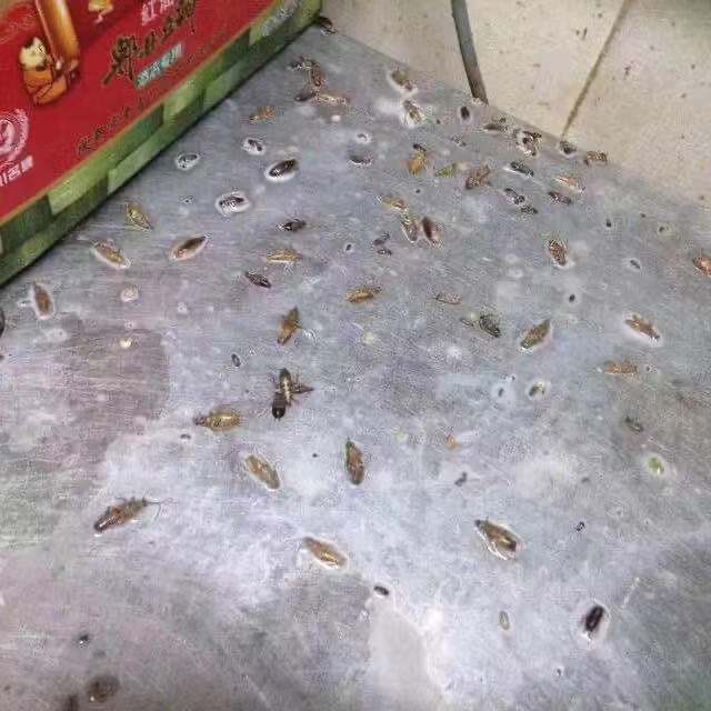 1-2201221543542P.jpg