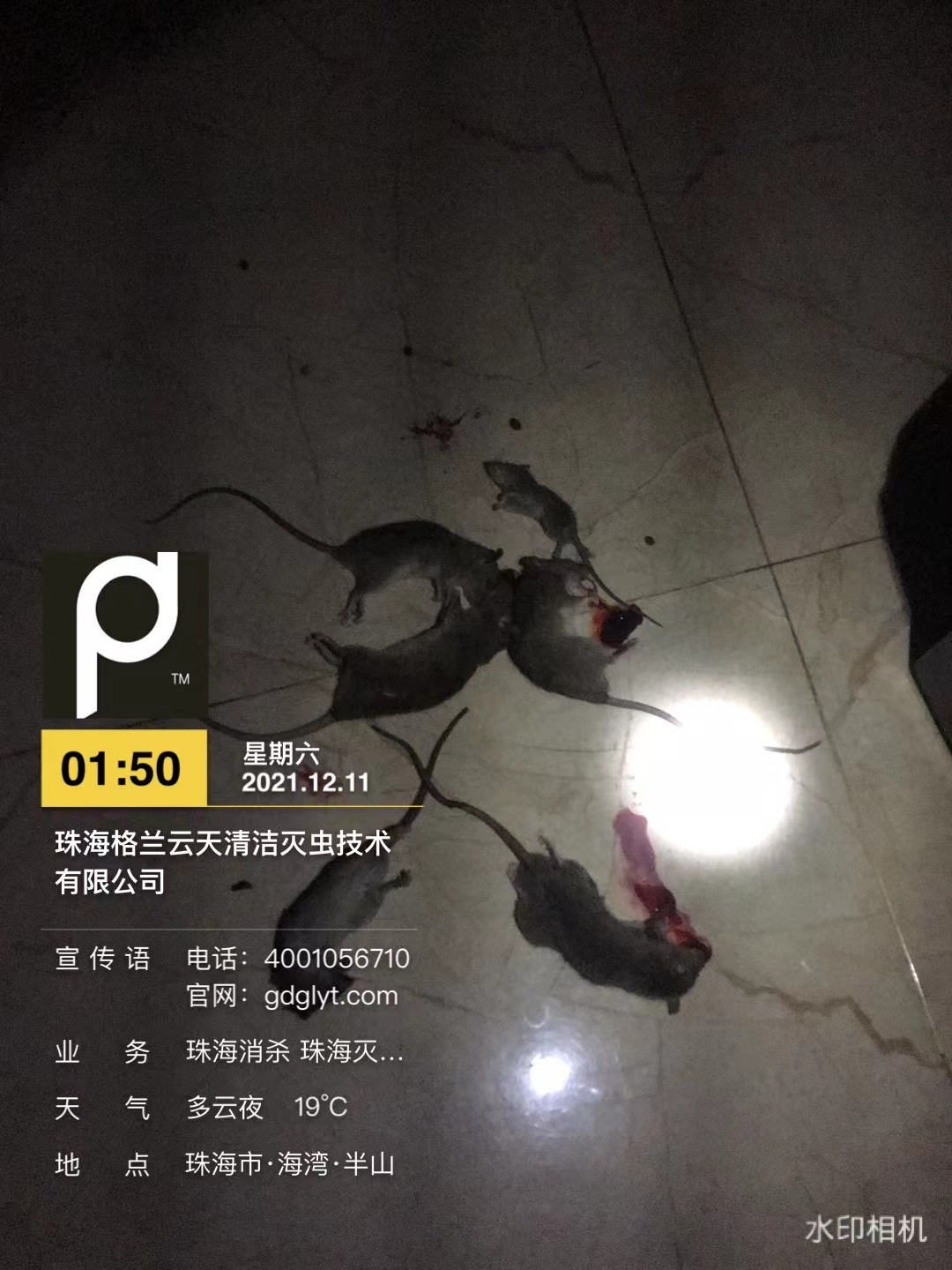 1-22012215451Ec.jpg