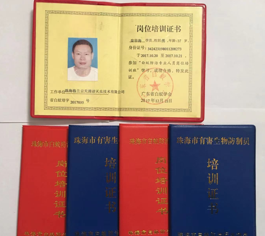 如何選擇一家執行標準的白蟻防治公司(圖3)