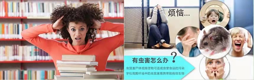 珠海(hǎi)白螞蟻防(fáng)治所 珠海超市滅蟑螂 珠海殺蟲滅鼠公(gōng)司 -珠海菠萝菠萝蜜网站清潔滅蟲技術有限公司(圖1) 珠海白螞蟻(yǐ)防治所 珠海超市滅蟑螂 珠海殺蟲滅鼠公司 -珠海格(gé)蘭雲天清潔滅蟲技術有限公司(圖1)