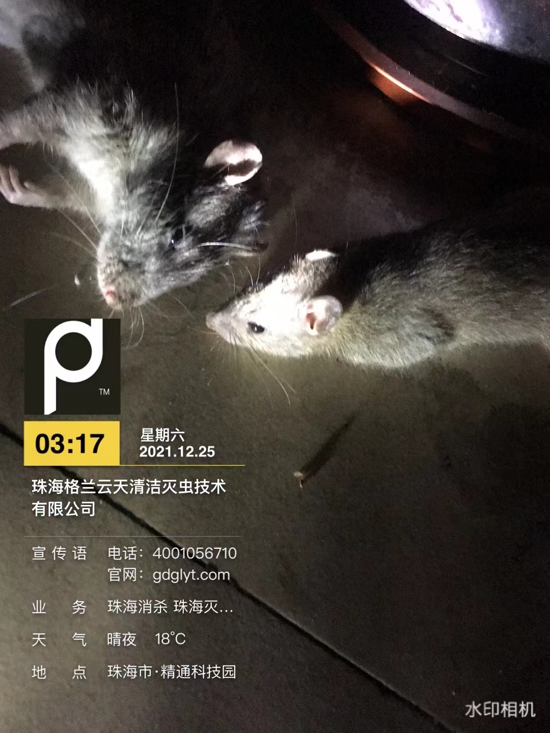 微信圖片_20211225044230.jpg 微信圖片(piàn)_20211225044230.jpg