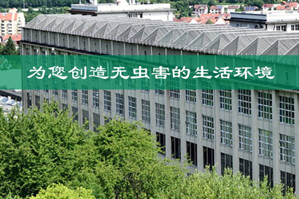 神灣提供白蟻防治公司