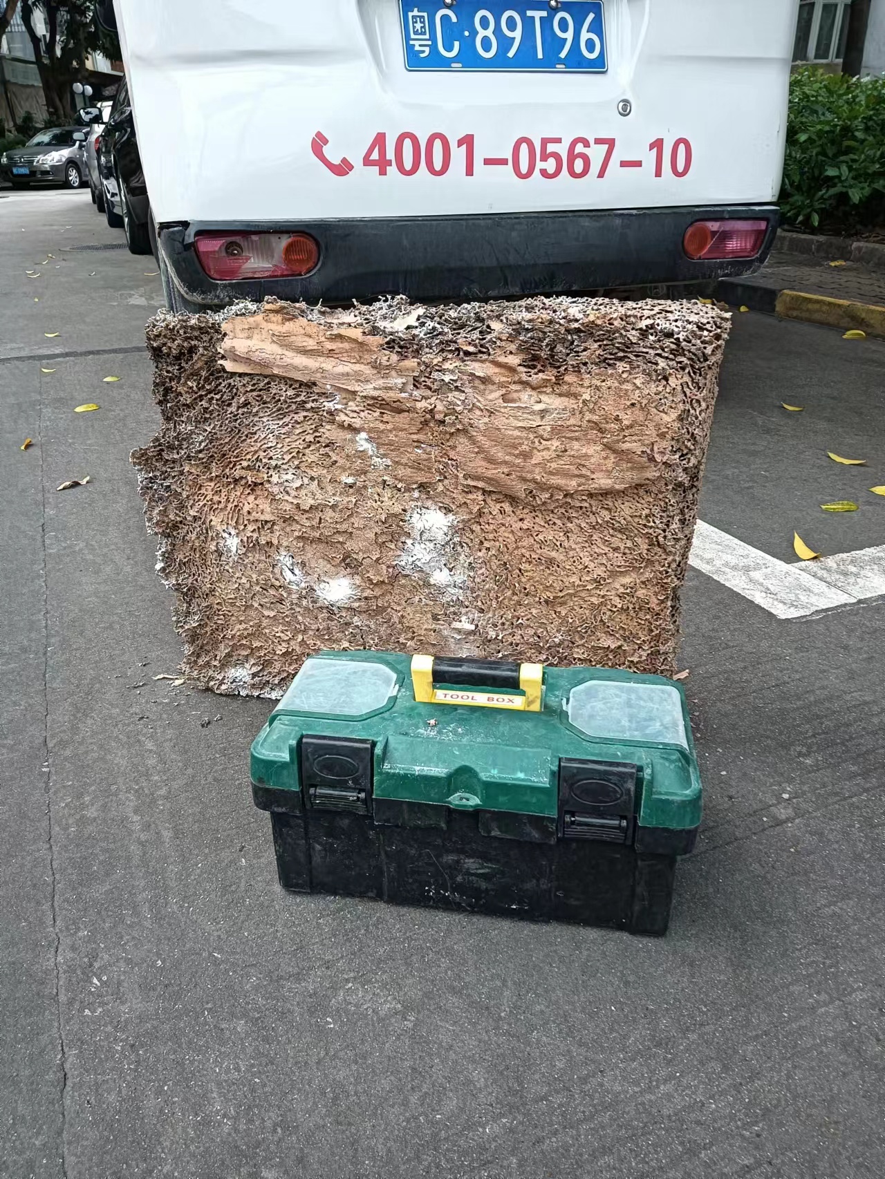 微珠海白（bái）蟻防治公司為珠海工廠全麵（miàn）開展消殺除四害工作pg