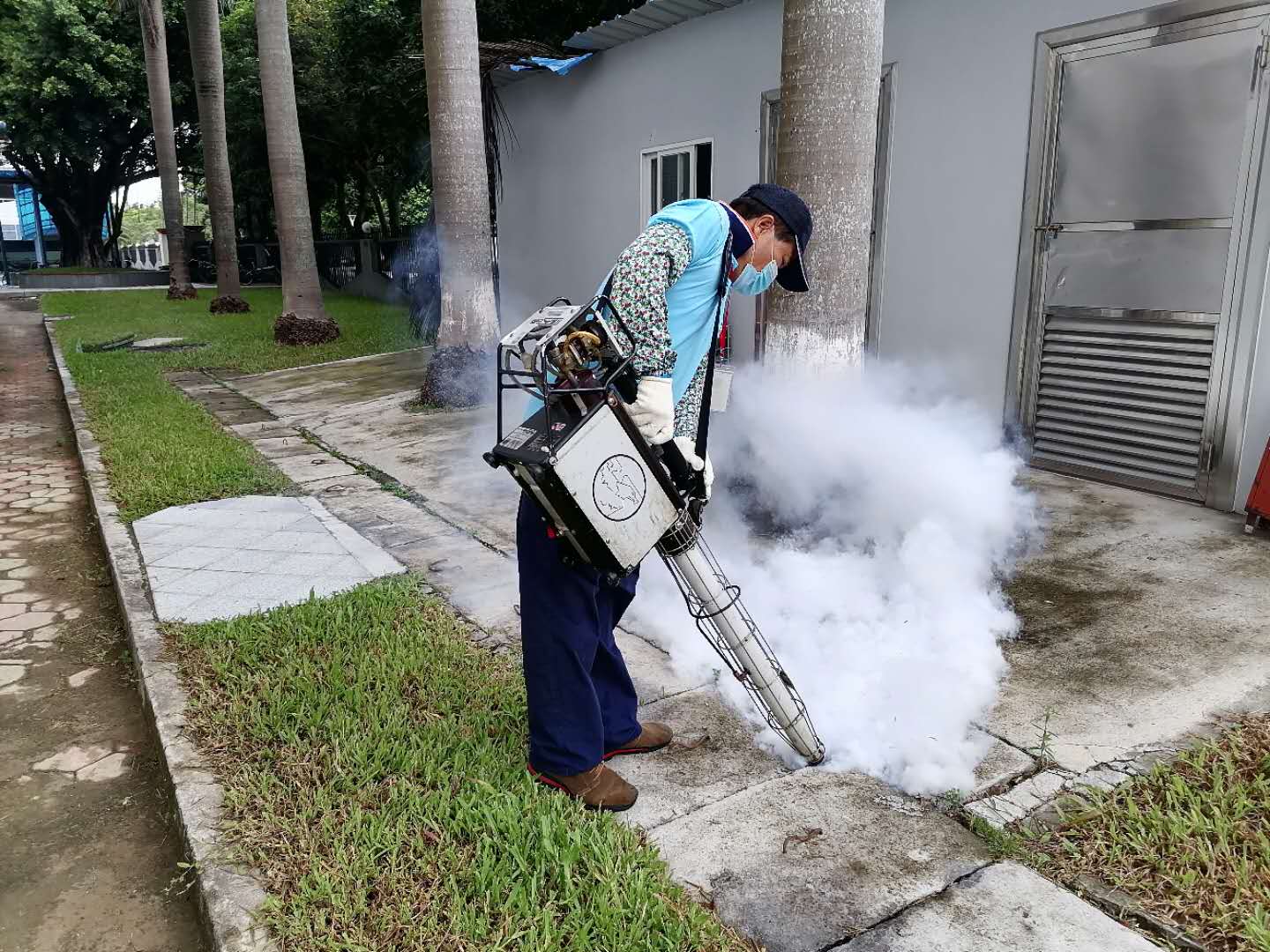 南溪白蟻防(fáng)治公司價格 南溪(xī)白(bái)蟻預防 南溪清除白蟻公司 南溪白蟻防治公司價格 南溪白(bái)蟻預防 南溪清除白蟻公司