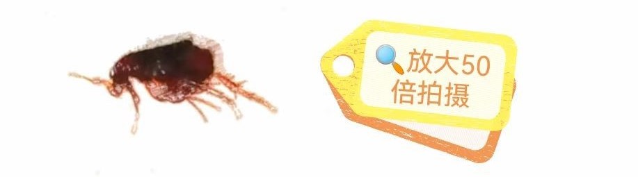 微信圖片_20221023133731
