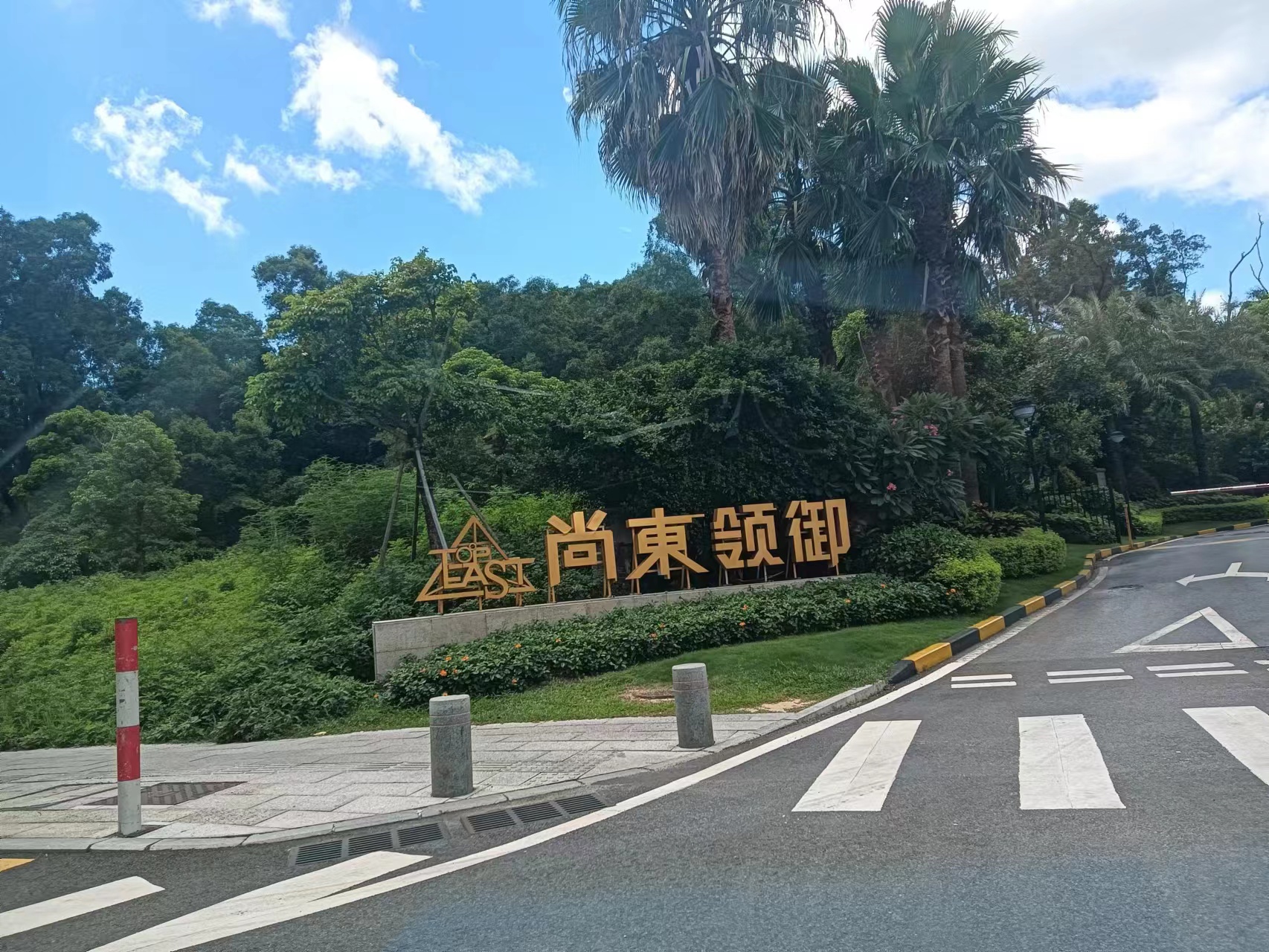 珠海白蟻防治公司