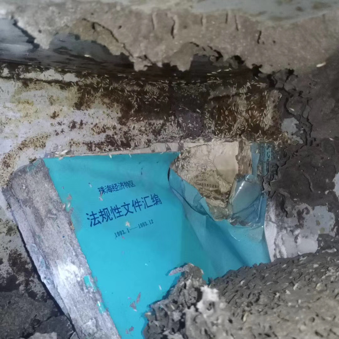 台灣乳白蟻的危害