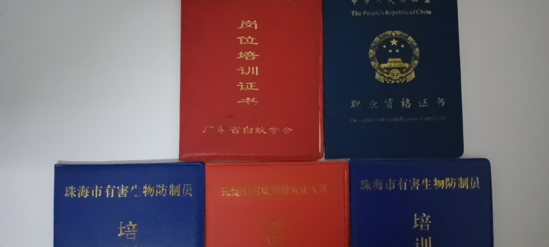 珠海白蟻防(fáng)治中(zhōng)心南溪正確進行白蟻防治-新建預防(fáng)白(bái)蟻技術-收費-標準 --珠海菠萝菠萝蜜网站清(qīng)潔滅蟲技術有限公(gōng)司(圖5) 珠海白蟻防治中心南(nán)溪正確進行白蟻防治-新(xīn)建預防白蟻技術-收費-標準 --珠海菠萝菠萝蜜网站清潔滅蟲技術有限公司(圖(tú)5)