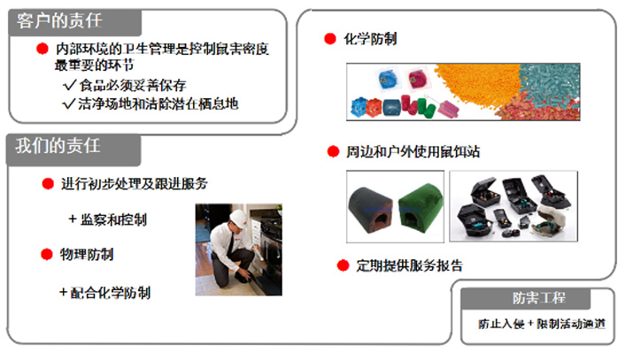 臭蟲(chóng) 臭蟲