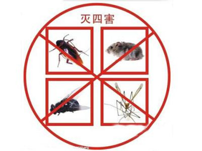 乾務滅臭(chòu)蟲價格