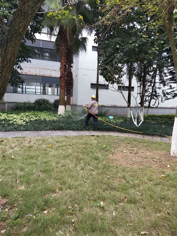 白蟻防治中心機構(gòu)