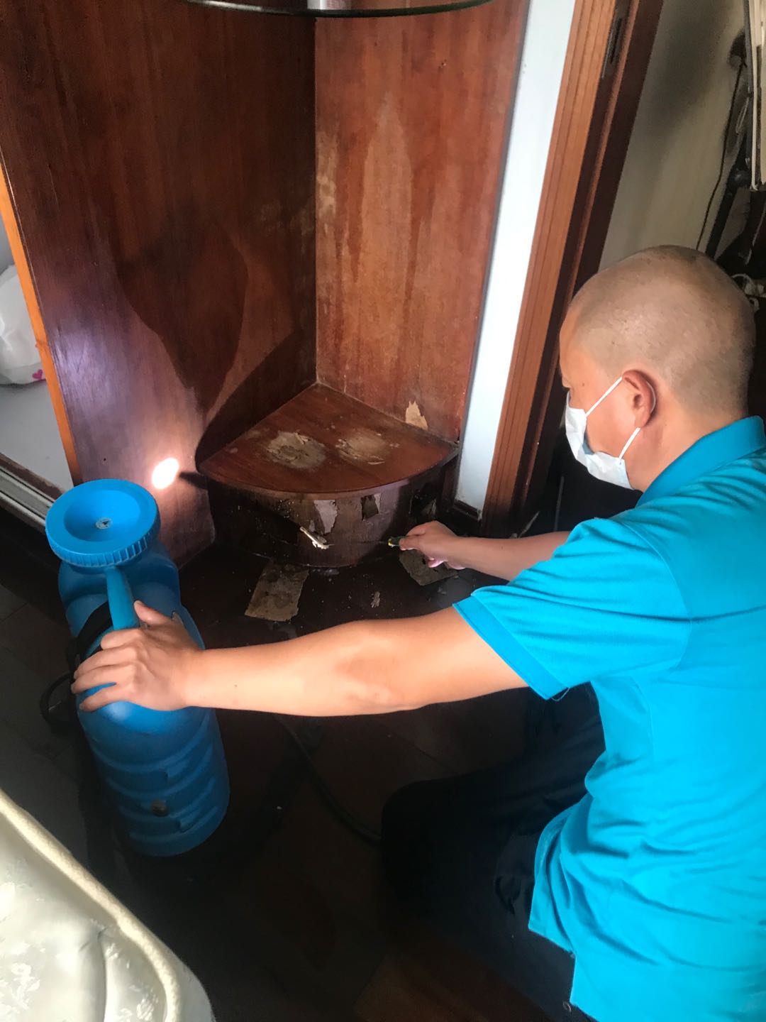 珠海白蟻防(fáng)治中心南溪正確進行白蟻防治-新建預防白蟻技(jì)術-收費-標準 --珠海格蘭(lán)雲天清潔滅蟲技術有限(xiàn)公司(圖8) 珠海白蟻防治中心南溪正確進行白蟻防治-新建預防(fáng)白蟻技術(shù)-收費-標準 --珠海格(gé)蘭雲天清潔滅蟲技術有限公司(圖8)