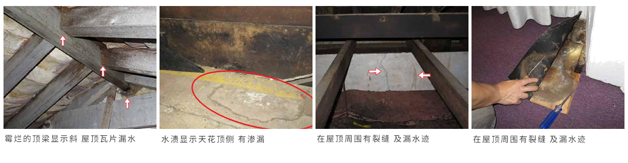 1.jpg 珠海別墅白蟻(yǐ)防治 珠海別墅白蟻預防 珠海白蟻(yǐ)防治方法-珠海菠萝菠萝蜜网站滅蟲技術有(yǒu)限公司 (圖6)